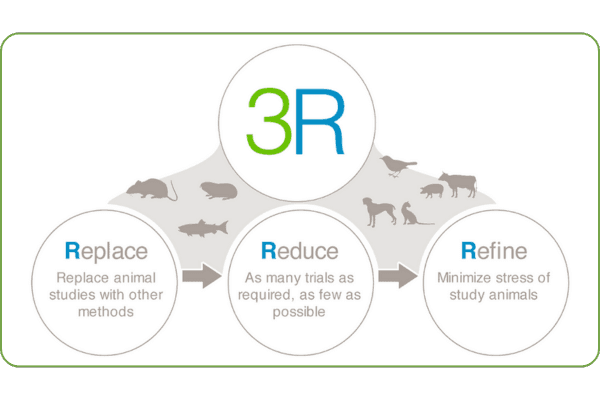 The three Rs: replacement, reduction and refinement