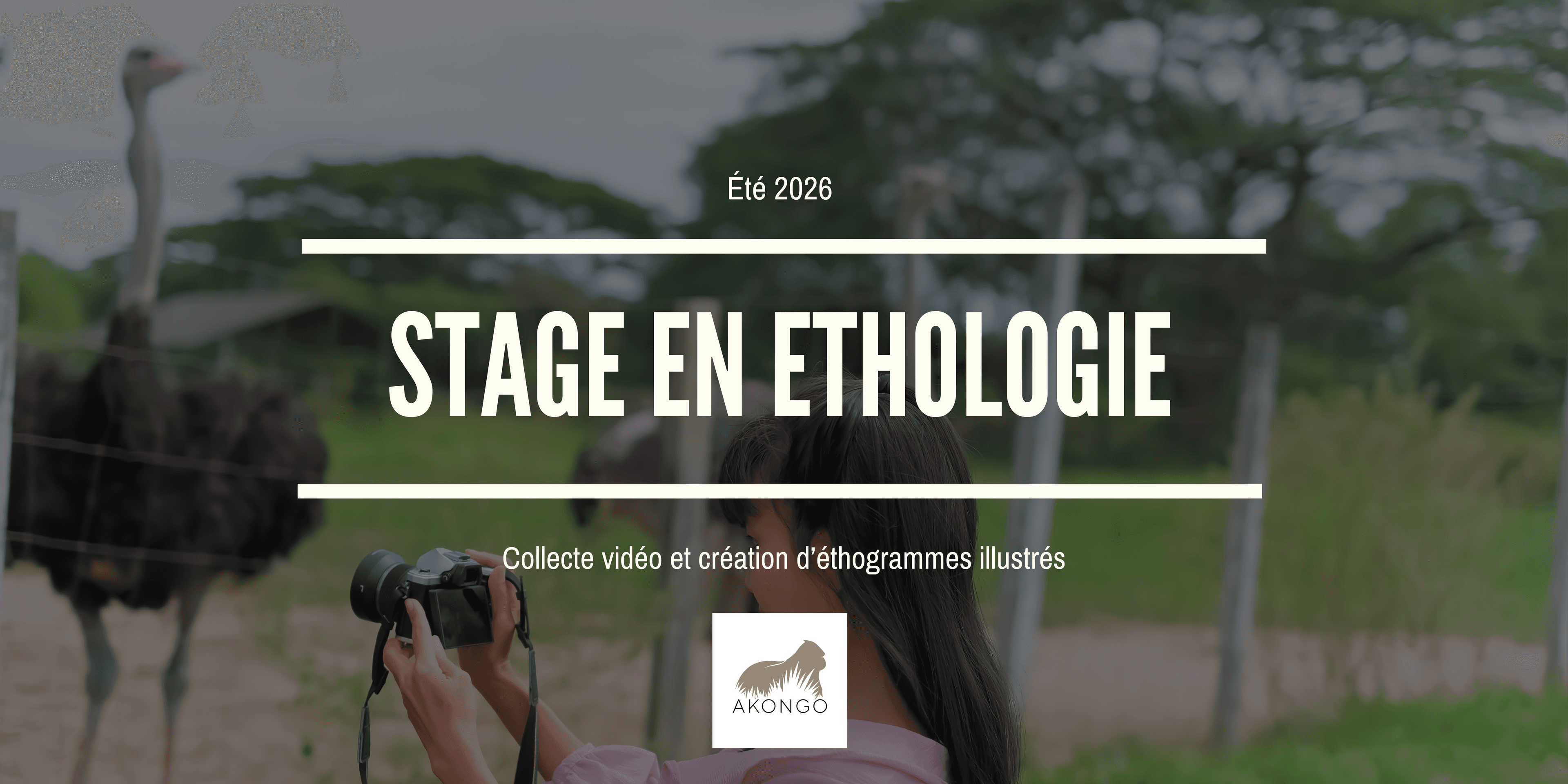 Offre de stage - Collecte vidéo et création d'éthogrammes illustrés