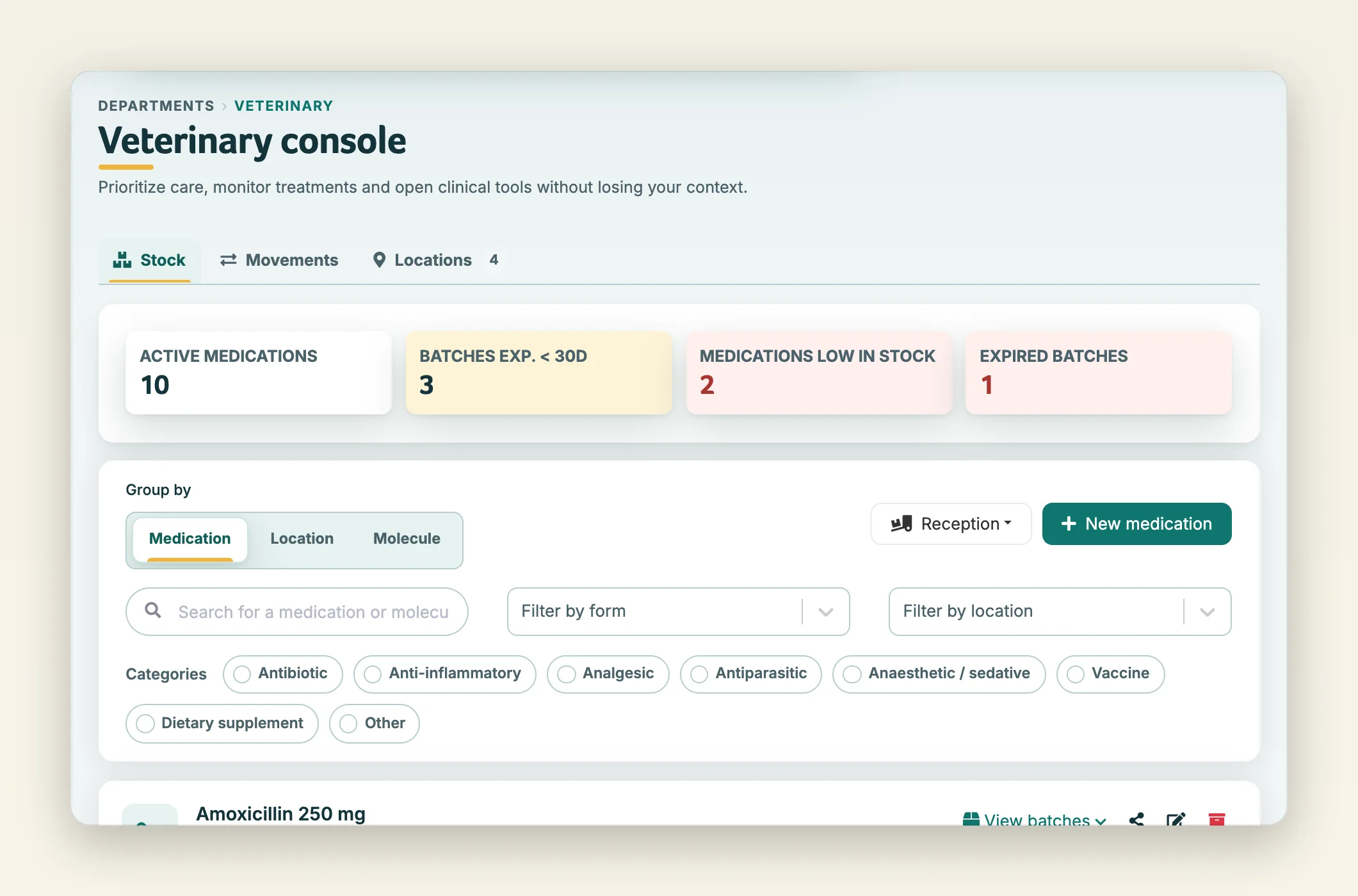 Stock view: active medications, expiry and low-stock alerts, category filters